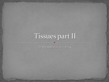 September 9-10, 2014. Most abundant tissue type! Functions: Protection Support Binding together.