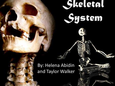 By: Helena Abidin and Taylor Walker Skeletal System.