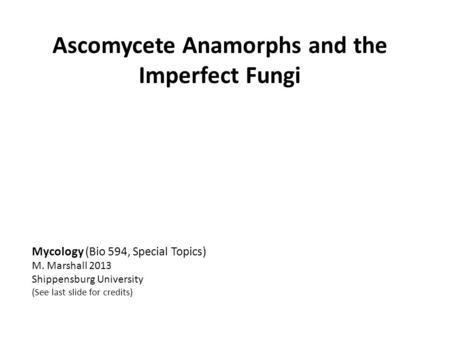 Ascomycete Anamorphs and the Imperfect Fungi