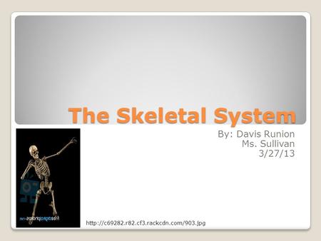 The Skeletal System By: Davis Runion Ms. Sullivan 3/27/13