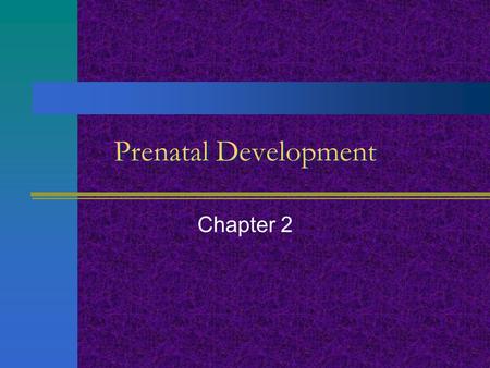 Prenatal Development Chapter 2.