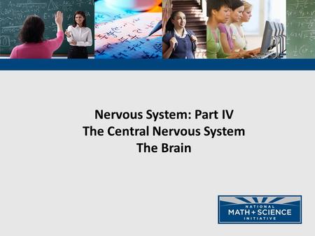 Nervous System: Part IV The Central Nervous System The Brain.