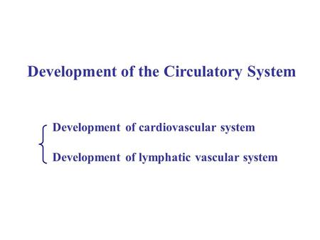 Development of the Circulatory System