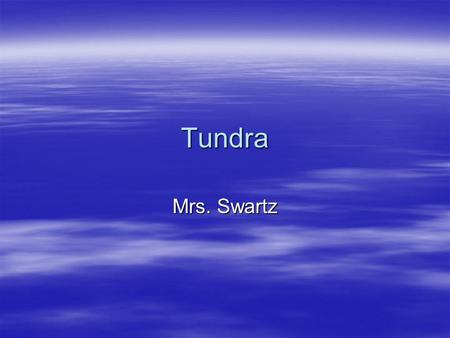 Tundra Mrs. Swartz. Animals That Live In The Tundra.