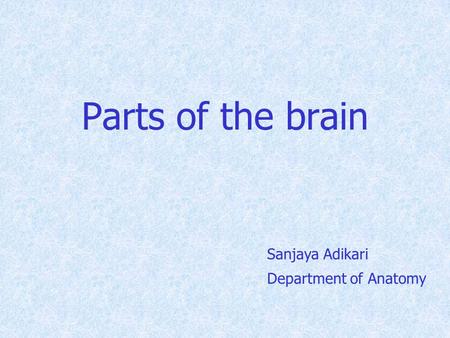 Parts of the brain Sanjaya Adikari Department of Anatomy.