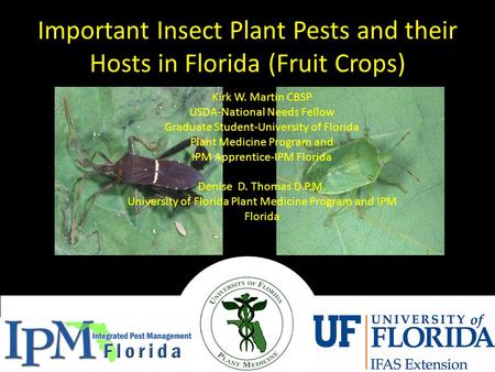 Important Insect Plant Pests and their Hosts in Florida (Fruit Crops) Kirk W. Martin CBSP USDA-National Needs Fellow Graduate Student-University of Florida.