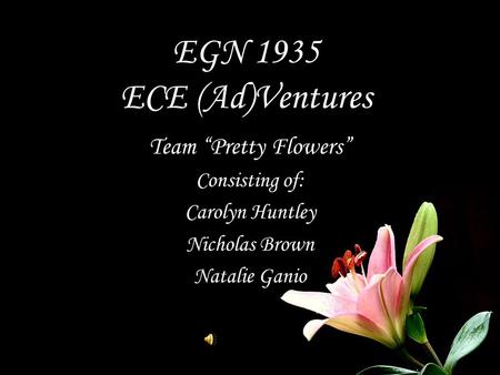EGN 1935 ECE (Ad)Ventures Team “Pretty Flowers” Consisting of: Carolyn Huntley Nicholas Brown Natalie Ganio.