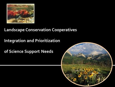 Landscape Conservation Cooperatives Integration and Prioritization of Science Support Needs.