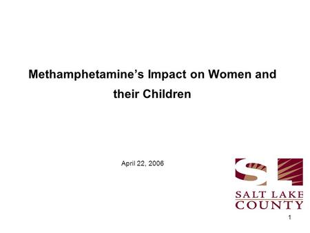 1 Methamphetamine’s Impact on Women and their Children April 22, 2006.