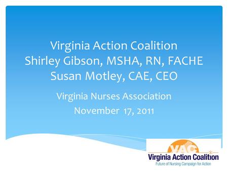 Virginia Action Coalition Shirley Gibson, MSHA, RN, FACHE Susan Motley, CAE, CEO Virginia Nurses Association November 17, 2011.