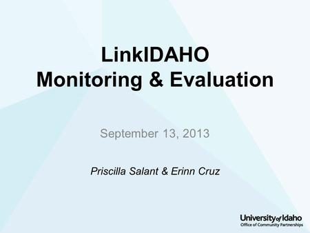 LinkIDAHO Monitoring & Evaluation September 13, 2013 Priscilla Salant & Erinn Cruz.