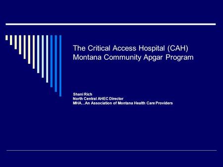 The Critical Access Hospital (CAH) Montana Community Apgar Program Shani Rich North Central AHEC Director MHA…An Association of Montana Health Care Providers.
