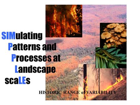 SIMulating Patterns and Processes at Landscape scaLEs HISTORIC RANGE of VARIABILITY.