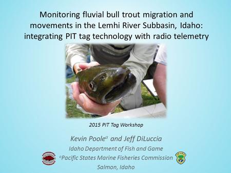 Monitoring fluvial bull trout migration and movements in the Lemhi River Subbasin, Idaho: integrating PIT tag technology with radio telemetry Kevin Poole.