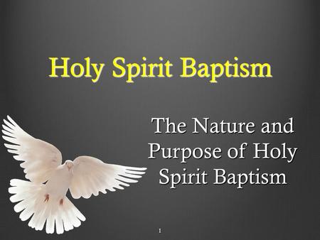 1 Holy Spirit Baptism The Nature and Purpose of Holy Spirit Baptism 1.