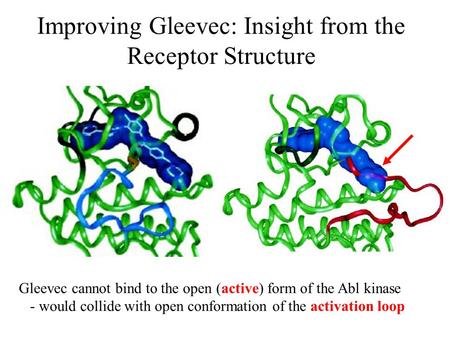 Improving Gleevec: Insight from the Receptor Structure Gleevec cannot bind to the open (active) form of the Abl kinase - would collide with open conformation.