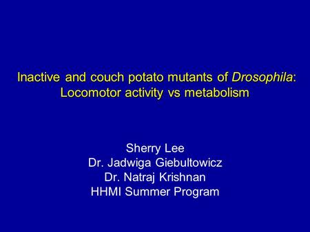 Inactive and couch potato mutants of Drosophila: Locomotor activity vs metabolism Inactive and couch potato mutants of Drosophila: Locomotor activity vs.