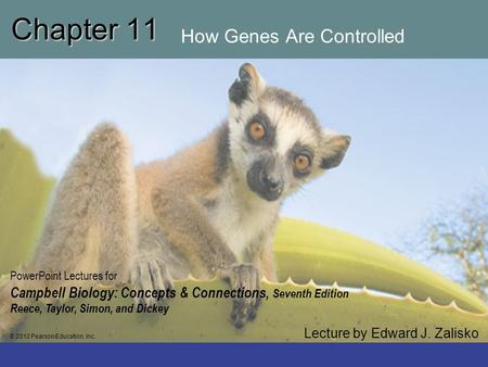 Chapter 11 How Genes Are Controlled
