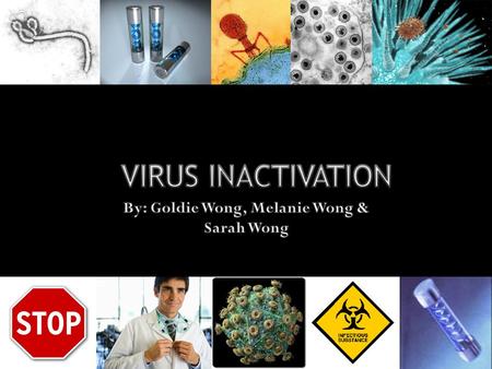 Viruses can be lipid-coated or non- enveloped. Virus inactivation works by one of the following two mechanisms:  By attacking the viral envelope or capsid.