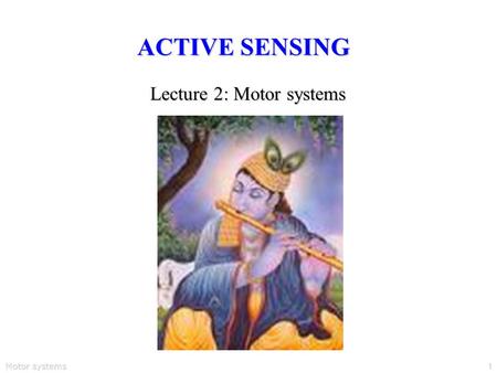 Motor systems1 ACTIVE SENSING Lecture 2: Motor systems.