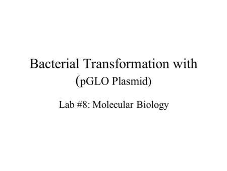 Bacterial Transformation with ( pGLO Plasmid) Lab #8: Molecular Biology.