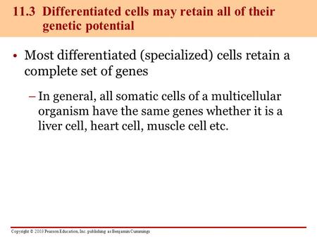 Copyright © 2003 Pearson Education, Inc. publishing as Benjamin Cummings Most differentiated (specialized) cells retain a complete set of genes –In general,