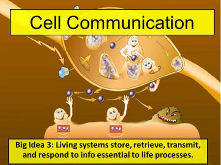 Cell Communication Big Idea 3: Living systems store, retrieve, transmit, and respond to info essential to life processes.