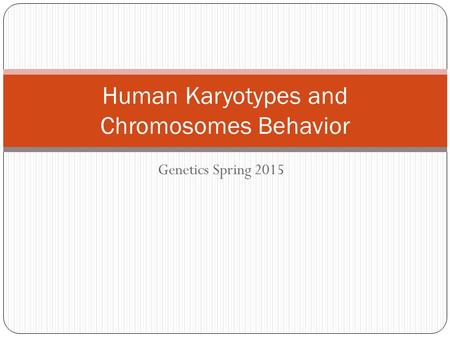 Human Karyotypes and Chromosomes Behavior