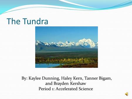 The Tundra By: Kaylee Dunning, Haley Kern, Tanner Bigam, and Brayden Kershaw Period 1: Accelerated Science.
