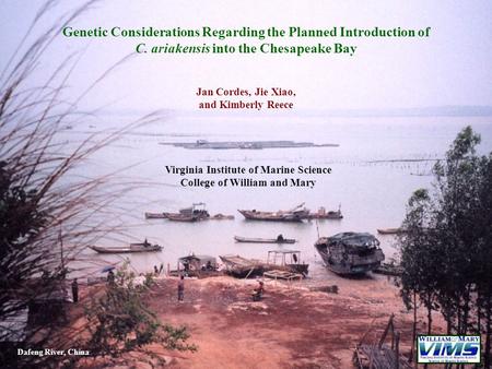 Genetic Considerations Regarding the Planned Introduction of C. ariakensis into the Chesapeake Bay Jan Cordes, Jie Xiao, and Kimberly Reece Virginia Institute.