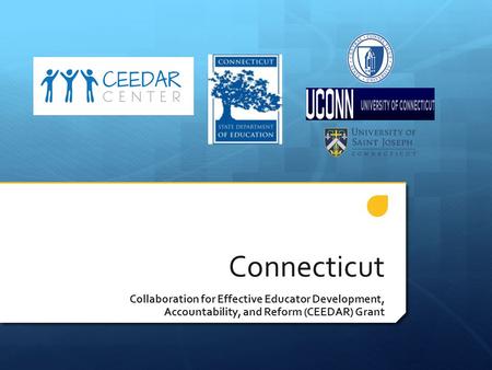 Connecticut Collaboration for Effective Educator Development, Accountability, and Reform (CEEDAR) Grant.