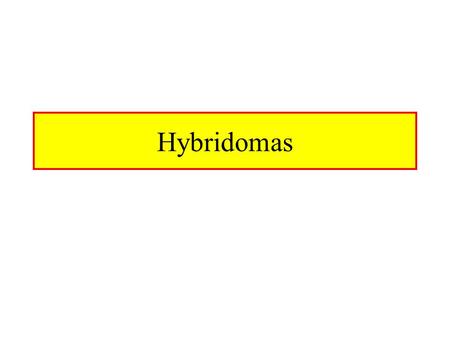 Hybridomas.
