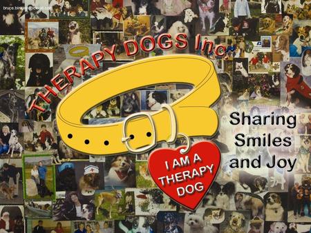 2 Therapy Dogs Inc. Presentation 2015 © We hope this will be a helpful tool to make your visits safe and fun for both you and.
