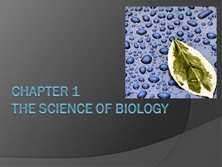 Chapter 1 The science of biology