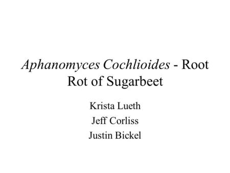 Aphanomyces Cochlioides - Root Rot of Sugarbeet Krista Lueth Jeff Corliss Justin Bickel.