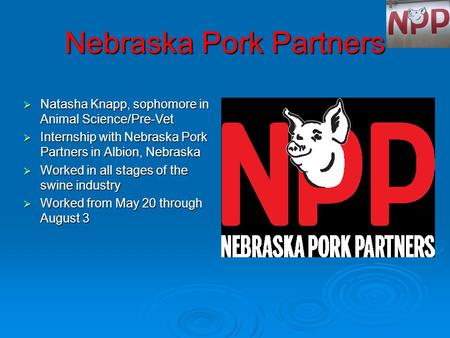 Nebraska Pork Partners  Natasha Knapp, sophomore in Animal Science/Pre-Vet  Internship with Nebraska Pork Partners in Albion, Nebraska  Worked in all.