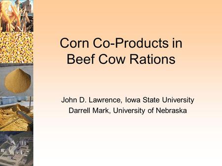 Corn Co-Products in Beef Cow Rations John D. Lawrence, Iowa State University Darrell Mark, University of Nebraska.