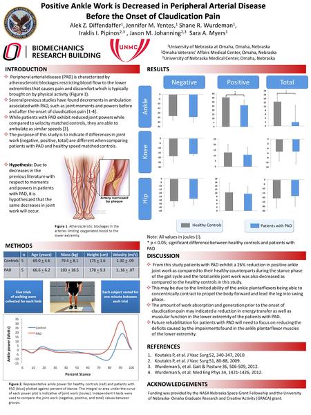 INTRODUCTION Positive Ankle Work is Decreased in Peripheral Arterial Disease Before the Onset of Claudication Pain Before the Onset of Claudication Pain.