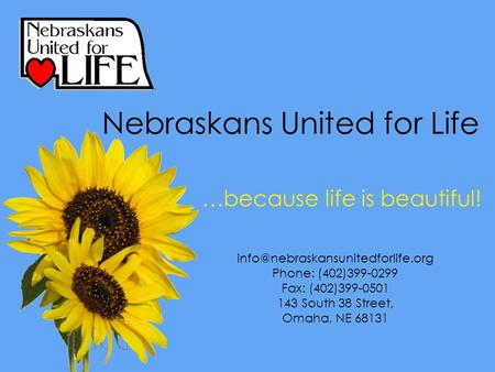 .…because life is beautiful! Phone: (402)399-0299 Fax: (402)399-0501 143 South 38 Street, Omaha, NE 68131 Nebraskans United.