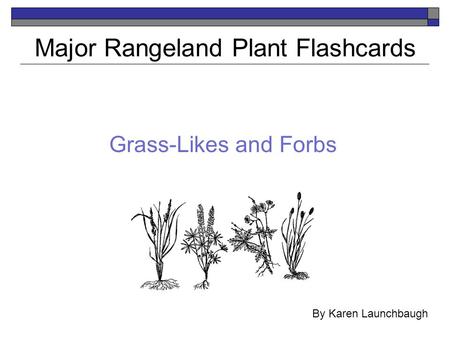 Major Rangeland Plant Flashcards