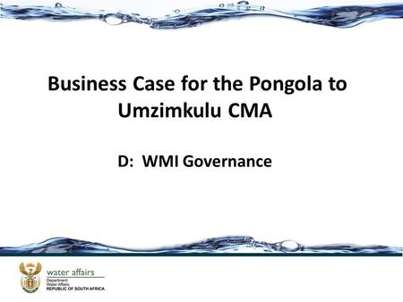 Business Case for the Pongola to Umzimkulu CMA D: WMI Governance.