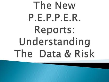  Program for Evaluating Payment Patterns Electronic Report (PEPPER) contains one SNF’s Medicare claims data statistics for areas that may be at risk.