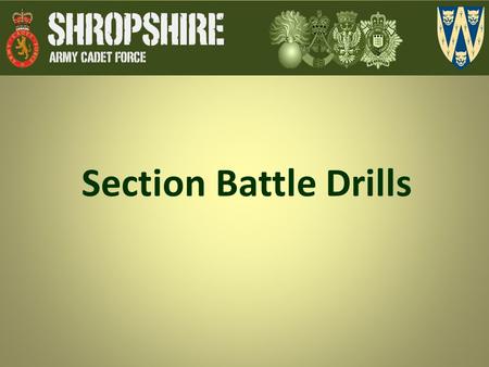 Section Battle Drills.
