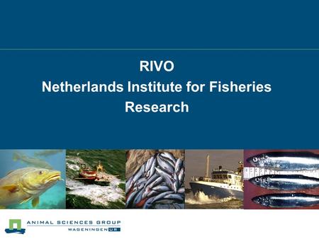 RIVO Netherlands Institute for Fisheries Research.