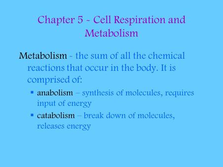 Chapter 5 - Cell Respiration and Metabolism Metabolism - the sum of all the chemical reactions that occur in the body. It is comprised of:  anabolism.