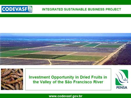 1 www.codevasf.gov.br Investment Opportunity in Dried Fruits in the Valley of the São Francisco River INTEGRATED SUSTAINABLE BUSINESS PROJECT.
