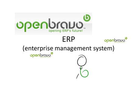 ERP (enterprise management system)