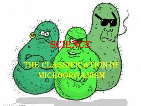 SCIENCE THE CLASSIFICATION OF MICROORGANISM. BAKTERIA AIEN IERA AIN.