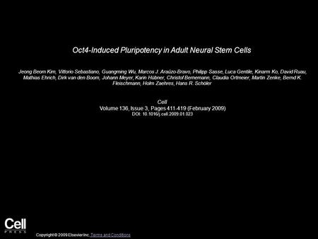 Oct4-Induced Pluripotency in Adult Neural Stem Cells Jeong Beom Kim, Vittorio Sebastiano, Guangming Wu, Marcos J. Araúzo-Bravo, Philipp Sasse, Luca Gentile,