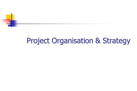Project Organisation & Strategy. Key Elements Business Drivers Project Definition Risks.